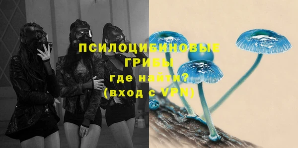молекула духа Бронницы