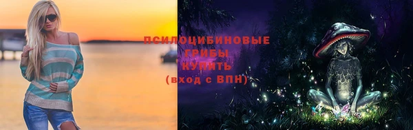 винт Бородино