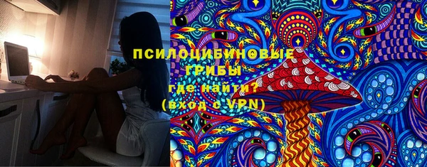 винт Бородино