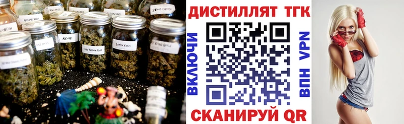 цена наркотик  Новомосковск  Дистиллят ТГК Wax 