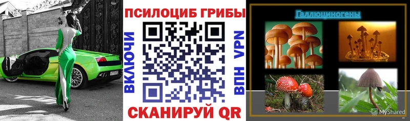 Галлюциногенные грибы Magic Shrooms  гидра как зайти  маркетплейс как зайти  купить   Новомосковск 