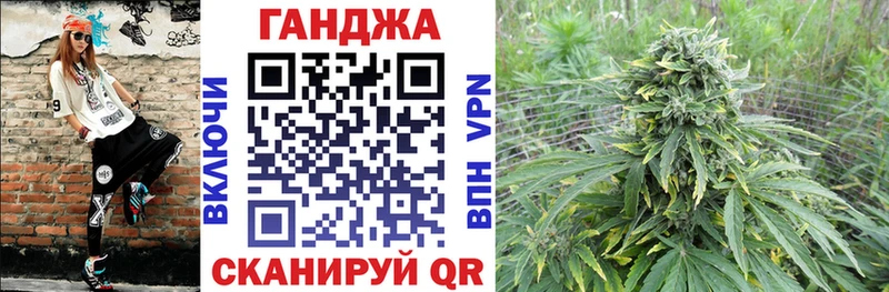 Шишки марихуана тримм  продажа наркотиков  Новомосковск 